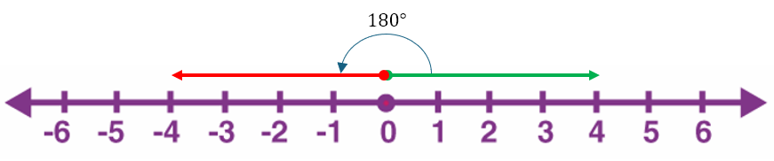 A New Kind of Number?